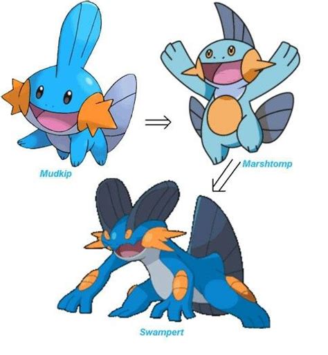 mudkip evolution|Mudkip (Pokémon) .